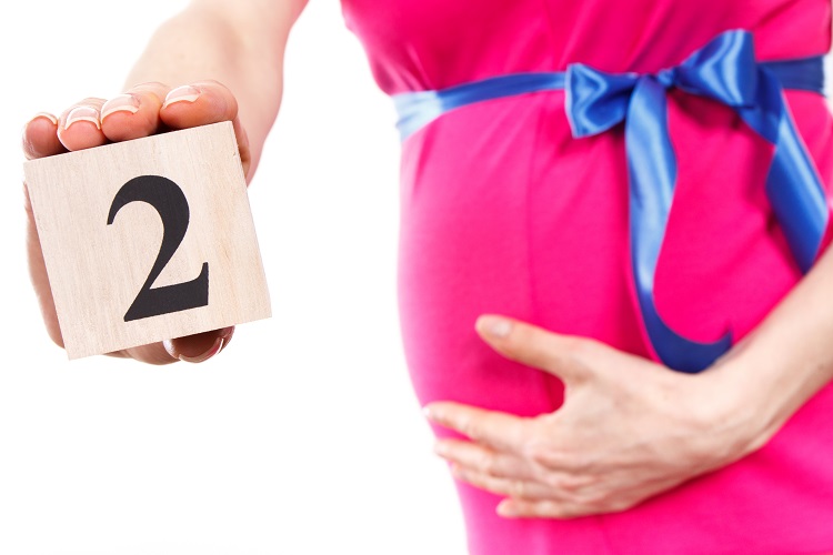妊娠したら知っておきたい ママの体と赤ちゃんの様子 初期 ４ ７週 妊娠２カ月 Fun Life ファンライフ