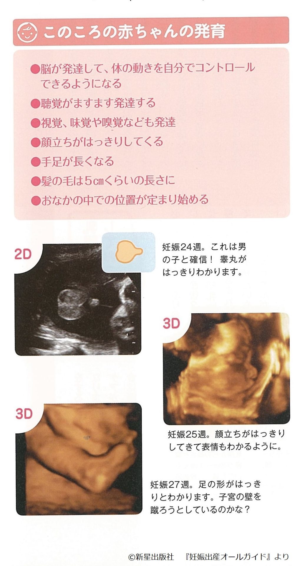 妊娠したら知っておきたい ママの体と赤ちゃんの様子 中期 2４ 2７週 妊娠7カ月 Fun Life ファンライフ