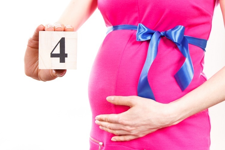 妊娠したら知っておきたい ママの体と赤ちゃんの様子 初期 12 15週 妊娠4カ月 Fun Life ファンライフ