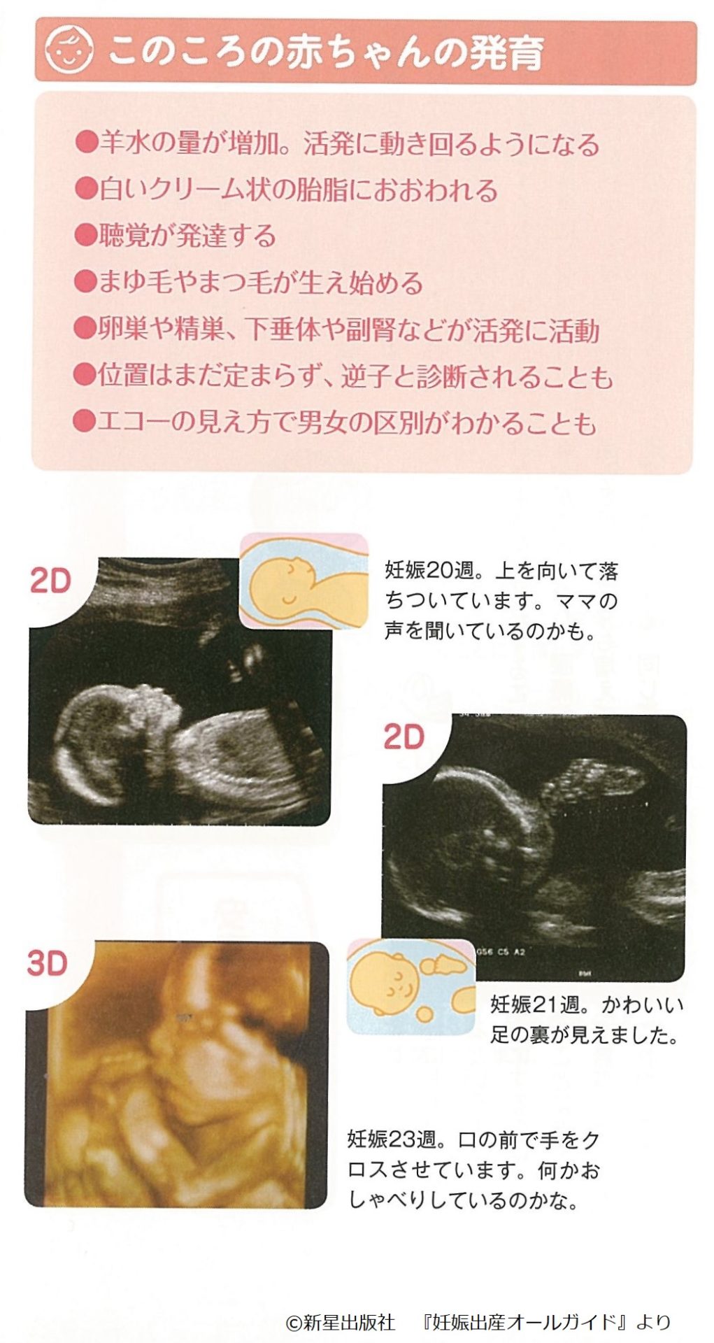 妊娠したら知っておきたい ママの体と赤ちゃんの様子 中期 20 23週 妊娠6カ月 Fun Life ファンライフ