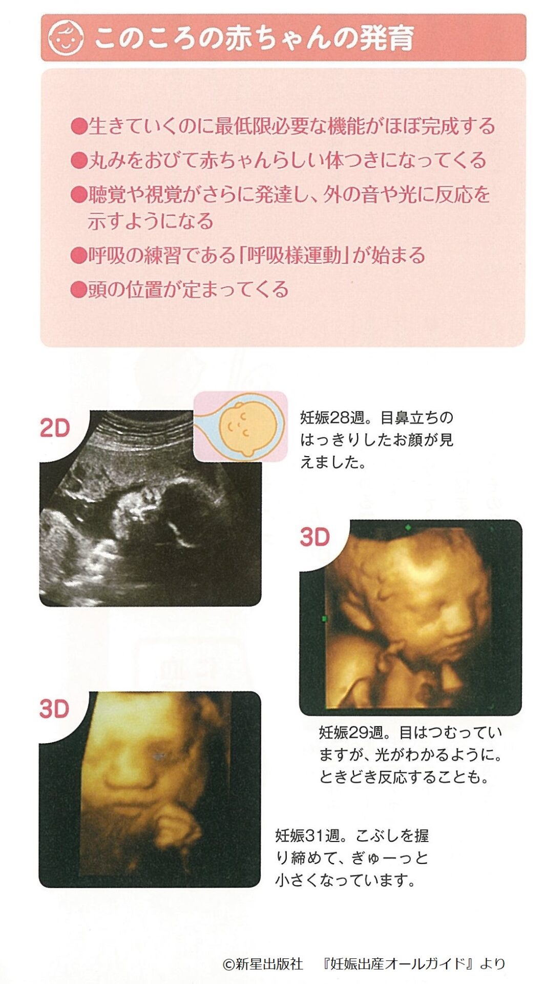 妊娠したら知っておきたい ママの体と赤ちゃんの様子 後期 28 31週 妊娠8カ月 Fun Life ファンライフ