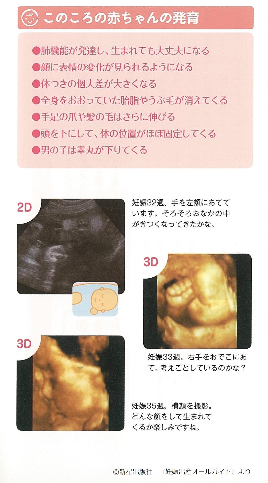 胎児 31 体重 週